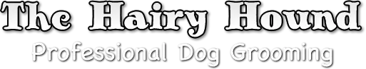 thh-logo-001-2